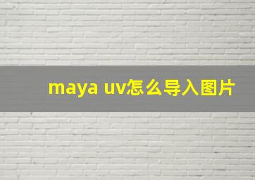 maya uv怎么导入图片